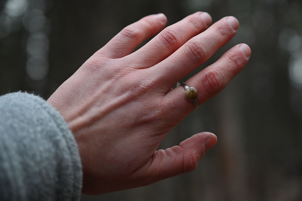 desert jasper ring photographed in the woods