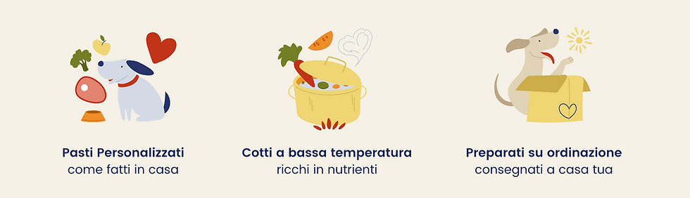Il cibo fresco per cani può aiutare a combattere le allergie