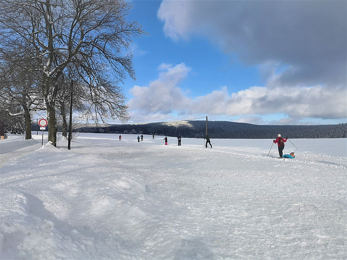 WinterinHolzhau2018.jpg