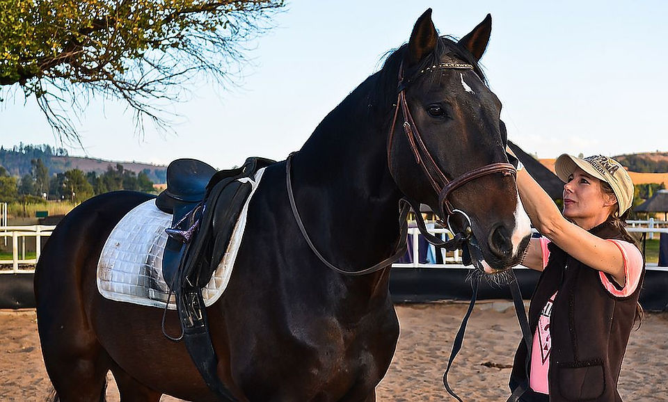Got the bridle on