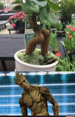 FB_IMG_1705883038593