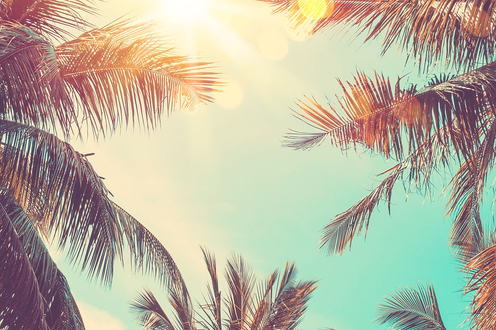 AdobeStock_355870309.jpeg