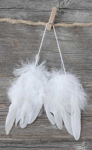 ANGES ORA VOYANCE