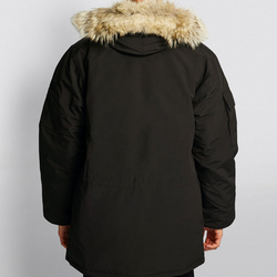 Canada Goose EXPEDITION PADDED PARKA - BLACK on model back view