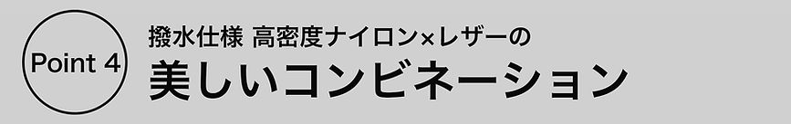 見出しbasico_4.jpg
