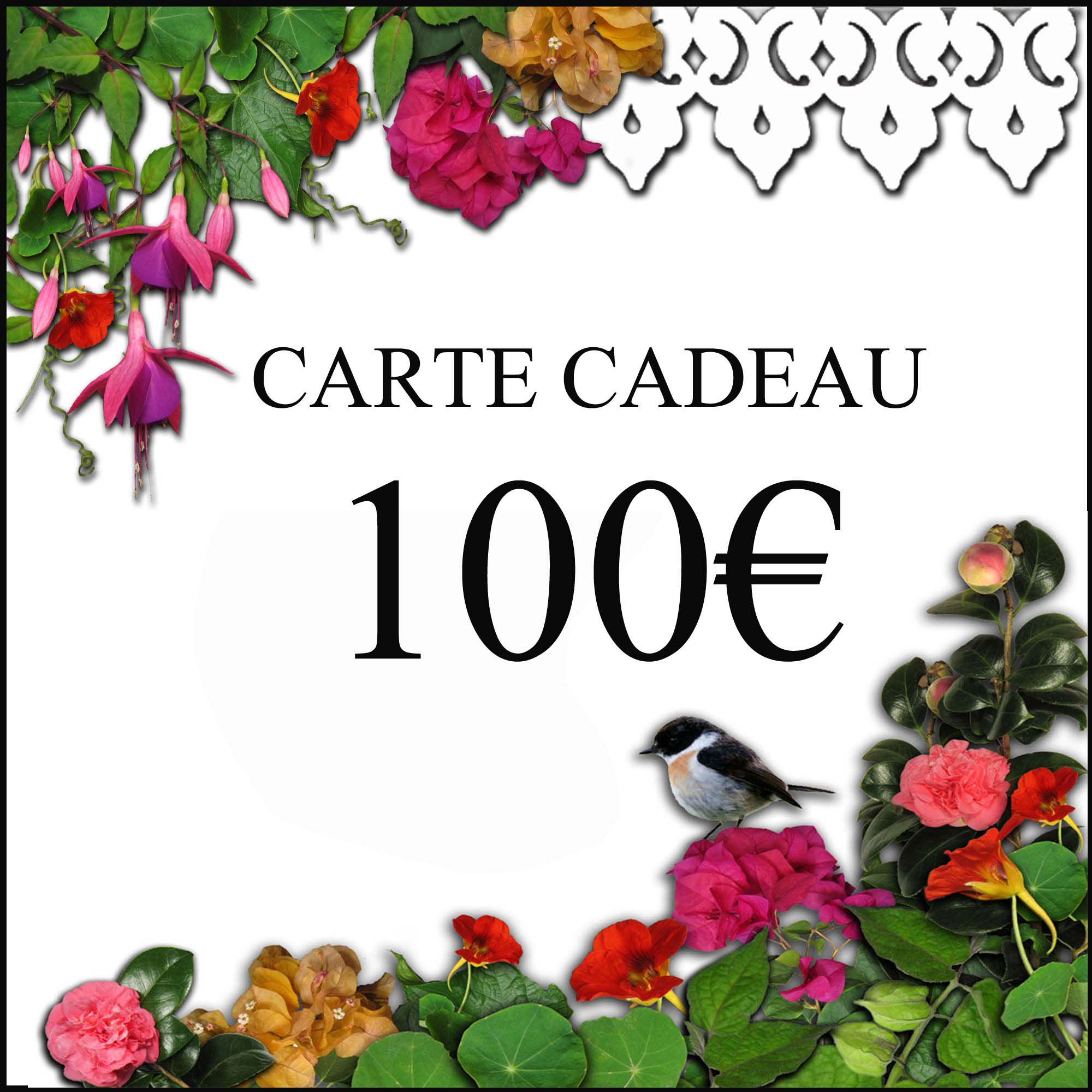 Carte cadeau 100€