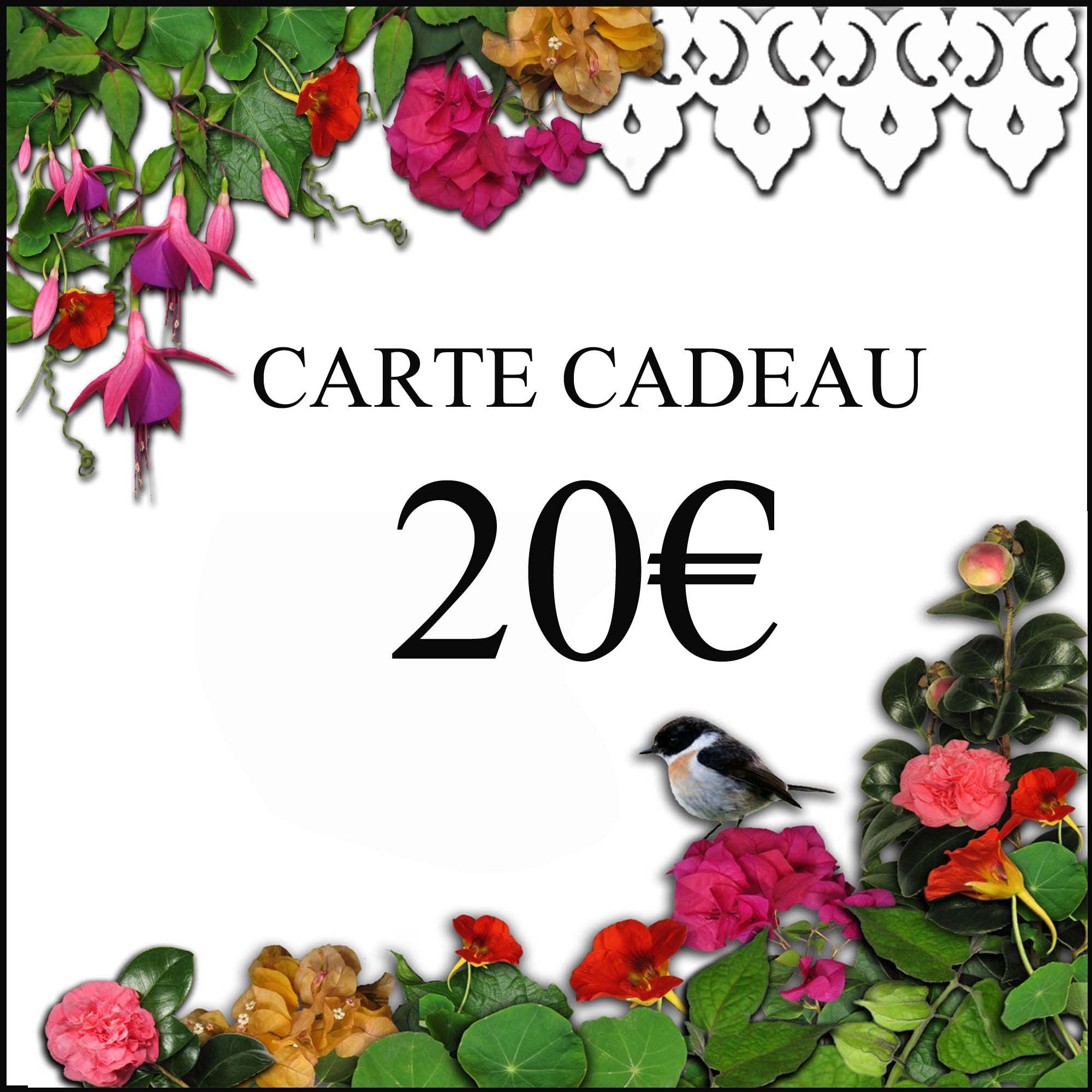Carte cadeau 20€
