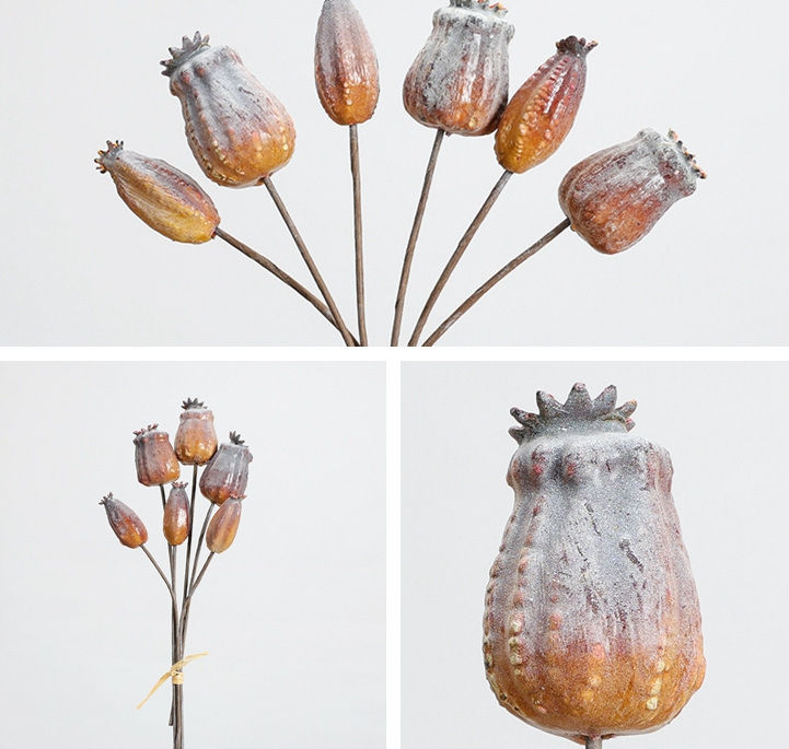 Thumbnail: Poppy fruit