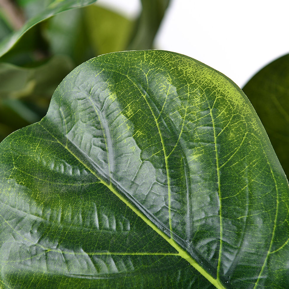 Thumbnail: Artificial Fiddle-leaf Fig