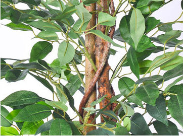 Thumbnail: Artificial Banyan