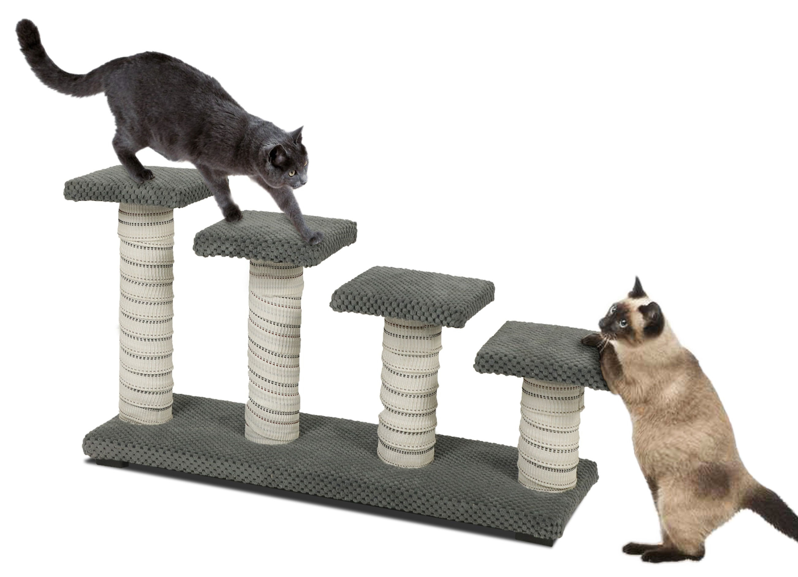 Cat steps