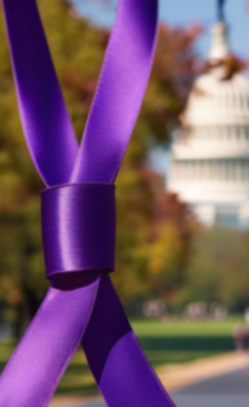 Purple Ribbon for domestic violence and people walking to the washington capitol in dc.jpg