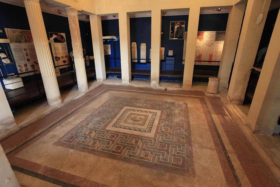 Ancient Roman mosaic floor in Rabat museum