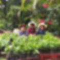 Thumbnail: Colombia El Carmelo Caturra-  1LB