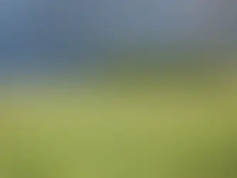 sauer - Kan droner ta sprøytejobben i matproduksjonen?