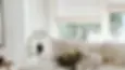 stue-640x360-90.webp