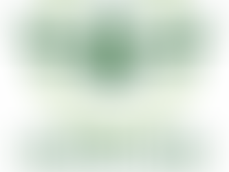 Første steg som dronepilot