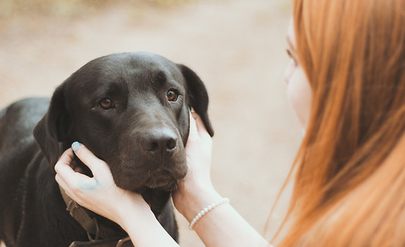 Lady petting black lab