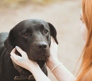 Black Dog