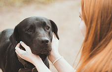 Schwarzer Hund