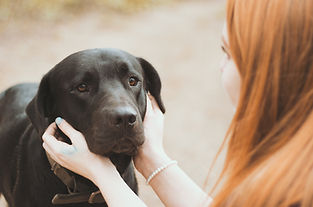 Black Dog