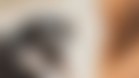 Quanto tempo posso deixar meu cachorro sozinho?