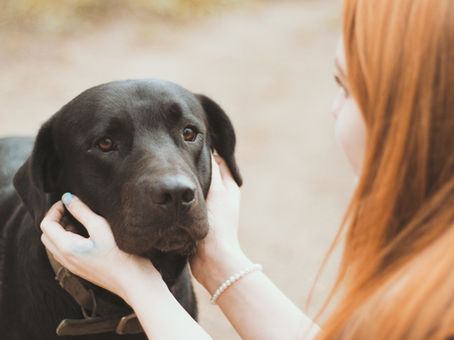June: National Pet Awareness (Preparedness) Month