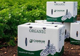 Caja agricola - Corazones de apio-Recuperado.jpg