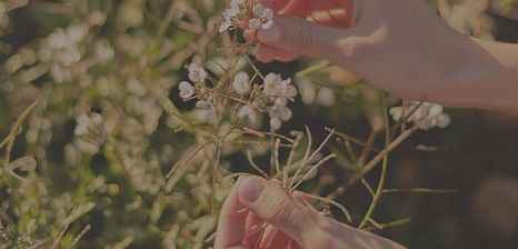 Aida Giner Yoga-69_edited_edited.jpg