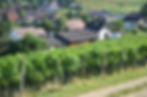 web_DSC_2485