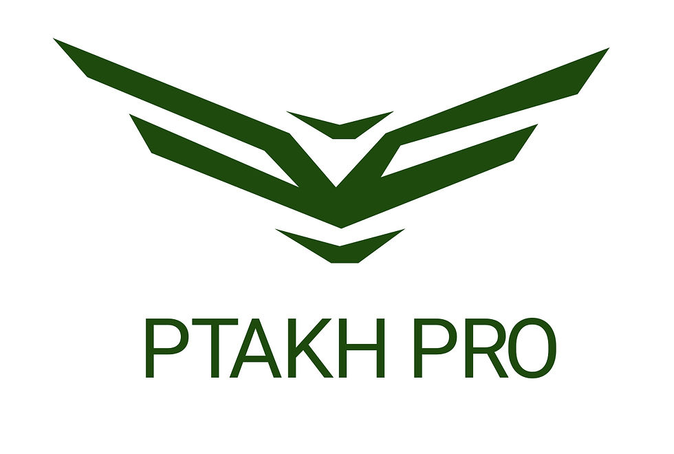 ptaкh lightidentity eng1-1.jpg