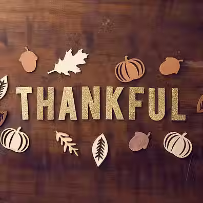 La Tecnica della gratitudine.avif