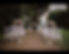 WhatsApp Image 2025-02-13 at 10.10.22 (2).jpeg