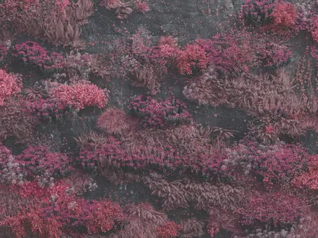 Even In Arcadia by Sleep Token Album Review