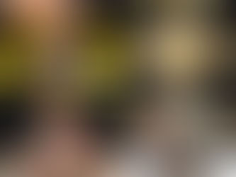 The NXT Championship: WWE’s Black-and-Gold Crown Jewel