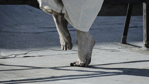 Adam Russel Jones par Ann Ray 2 - Ballet
