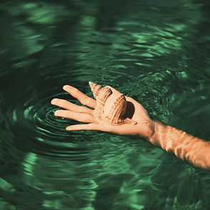 Muschel in der Hand