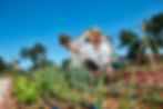 Farm to table