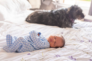 newborn lying on master bed with fluffy dog in soft focus in the background