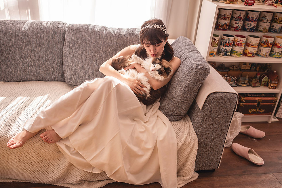 bride in white dress and tiara holding a Rag Doll cat on the sofa