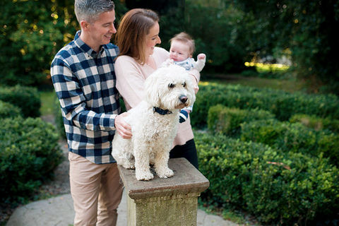 mum, dad and white dog on a plinth in a park and mum holding baby boy