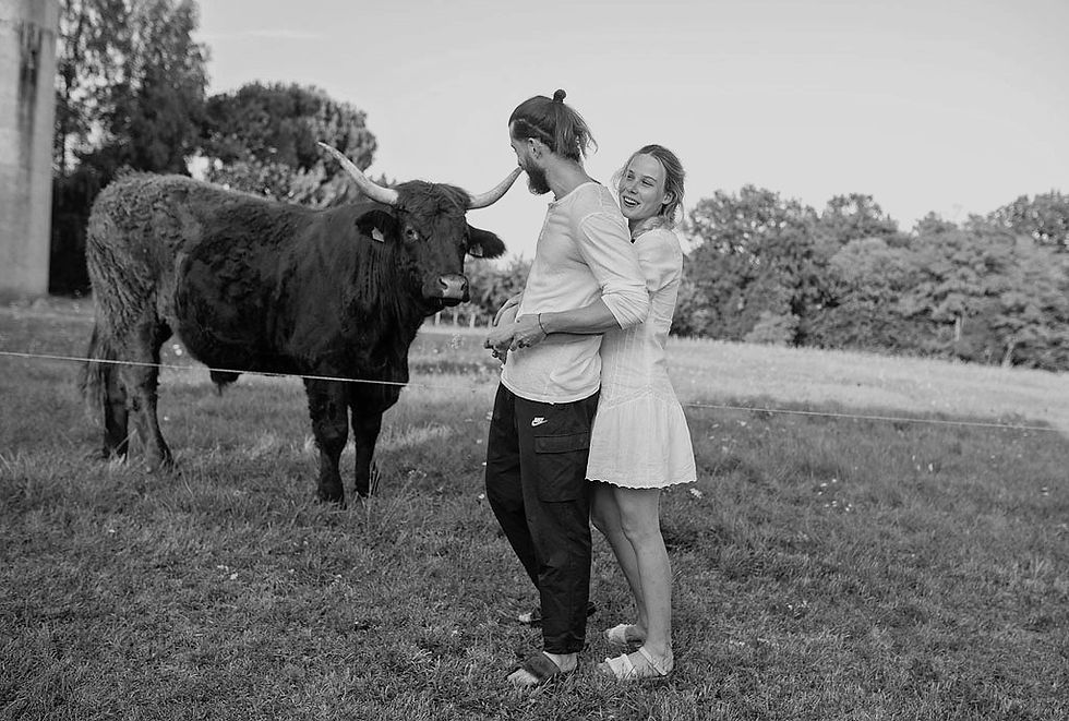 couple hugging in front of large cow with horns in field