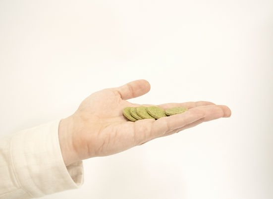 Spinach hand.jpg