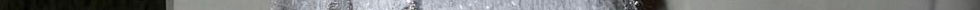 GettyImages-1190411433_edit 1.jpg