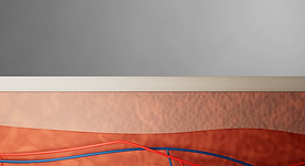 Skin Layer