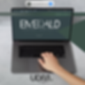 emeraldclinic.uk.png