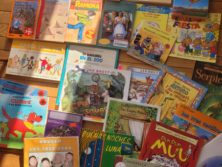 Book Donations to El Coyote, Mexico