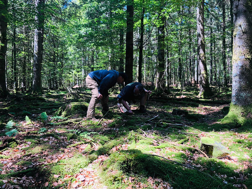 Mantracking Training in Deutschland. Bei einer Übung sollten wir keine Spur überspringen. Bei einer Suche müssen wir das, dann wird es erst schwierig.