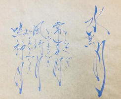 IMG_9734.jpeg