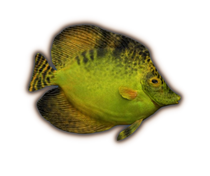 Paleoarte Manucci Padovathurus 2